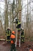 Sägeübung 25.01.2020_8