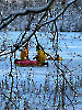 Sonderdienst 4. Gruppe Eisrettung 18.12.2022_17