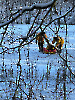 Sonderdienst 4. Gruppe Eisrettung 18.12.2022_1