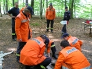 Amtsfeuerwehrtag Bösdorf