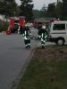 Roter Hahn Stufe 1_10