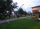 Jahr 2010