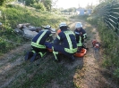 TH-Dienst_4